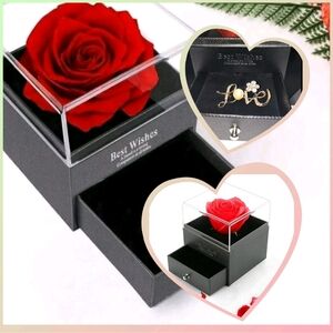 Infinity Rose in Jewelry Box with Brooch - Valentines Romantic Gift For Her